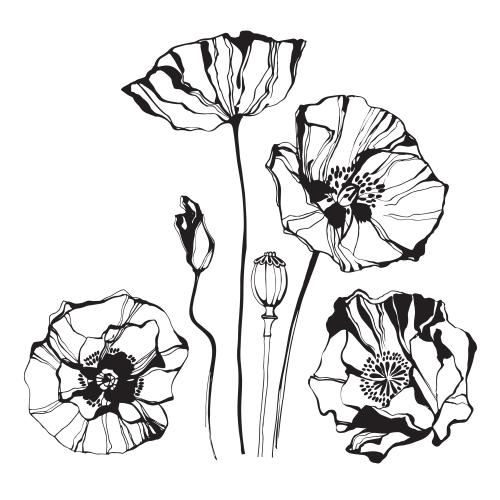 Mohn. Vektor Mohn auf Weiss