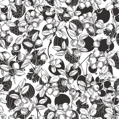Vektorgrafik beeren: himbeere, brombeere, johannisbeere, kirsche, himbeere, kirsche auf weißem