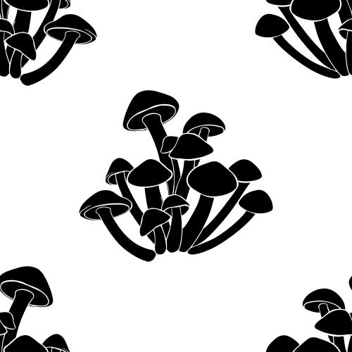 Pilz. Vektor borstenpilze schwarze silhouetten auf weißem