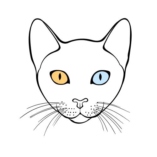 Khao manee. Vektor katze Kao-Mani, süße Gesicht auf weißem