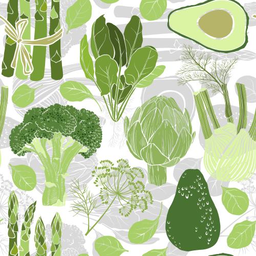 Spinat. Vektor Avocado, Artischocke, Spinat, Brokkoli, Fenchel, Spargel, farbige und graue Silhouetten auf weissm
