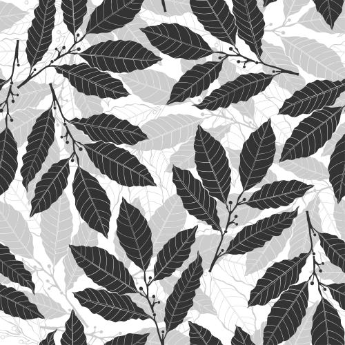Lorbeer. Vektor monochrom Lavendelzweige auf weißem, Silhouetten
