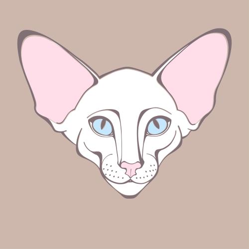 Oriental katze. Vektor Orientalkatze, hübsches Gesicht auf pastellbraunem