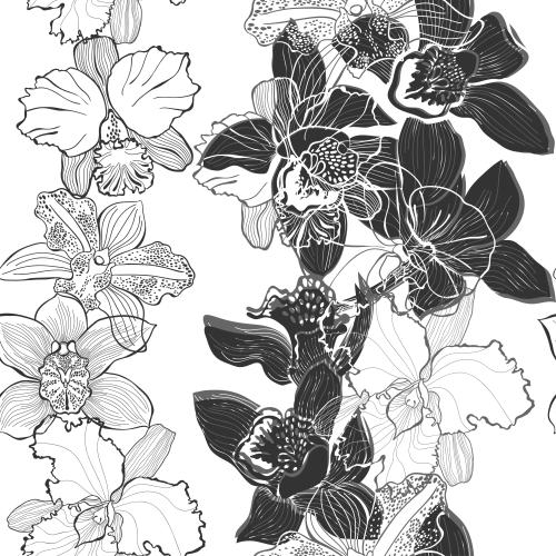 Orchidee. Vektor Orchideen, Konturen und Silhouetten auf weißem