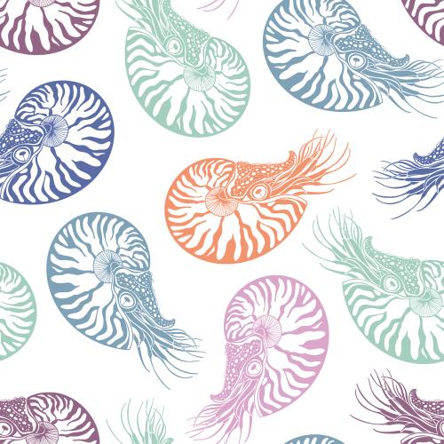 Nautilus. Vektor farbenfrohe silhouetten auf weißem