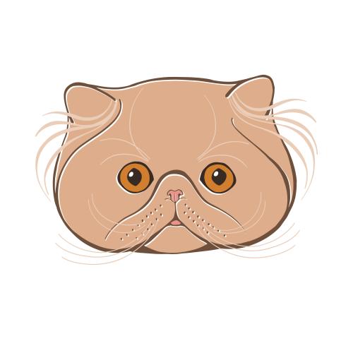 Perserkatze. Vektor persische Katze, farbiges süßes Gesicht auf weißem