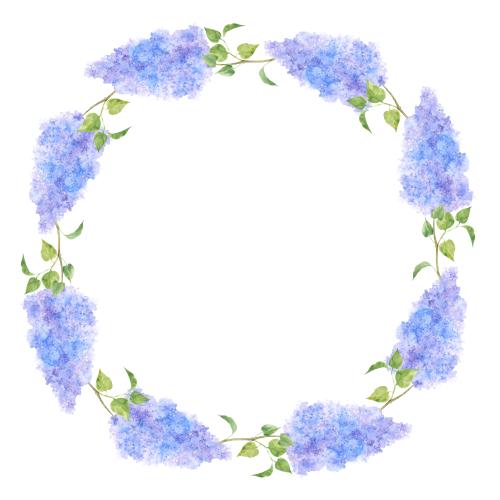 Flieder. Vektor Aquarelllilie, runde Rahmen auf weissm