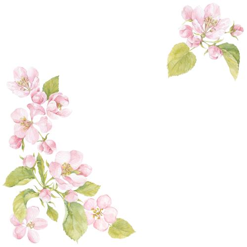 Rasterbild aquarellblumen und apfelblätter, textplatz auf weißem, eckige komposition