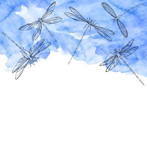Libelle. Vektor libellen auf blauem Aquarell, Platz für Text auf weißem