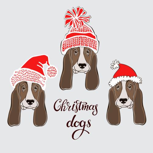 Vektorgrafik drei herrliche gesichtchen basset hunde in weihnachtsmuetzen
