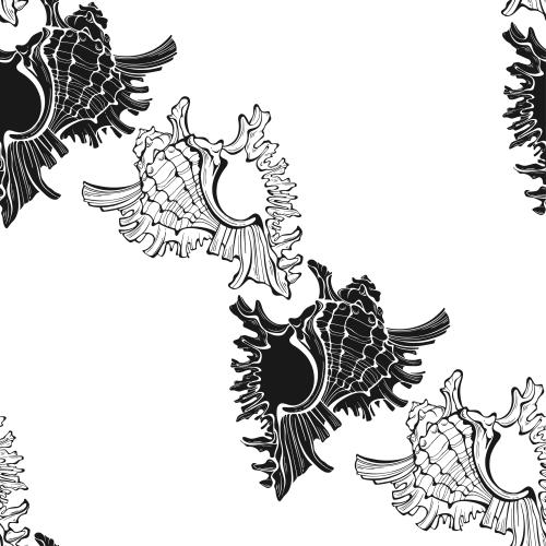 Vektorgrafik muscheln schwarze silhouetten und konturen auf weißem