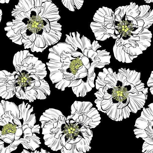 Vektorgrafik pfingstrosen blumen auf schwarzem