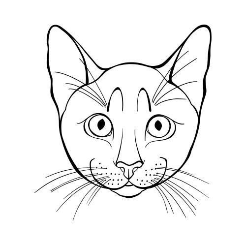 Vektorgrafik katzengeicht auf dem weißen